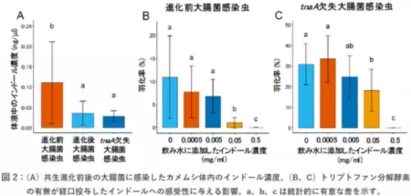 「共生進化の鍵となる細菌遺伝子を同定」の画像