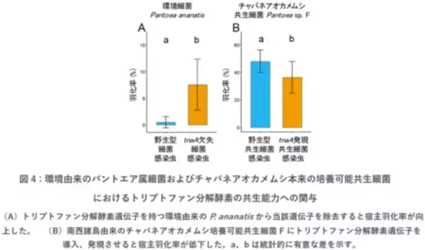 「共生進化の鍵となる細菌遺伝子を同定」の画像