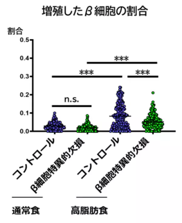 「高血糖時に膵β細胞を増やす分子スイッチを発見」の画像