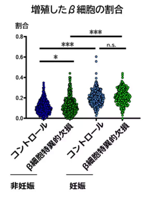 「高血糖時に膵β細胞を増やす分子スイッチを発見」の画像