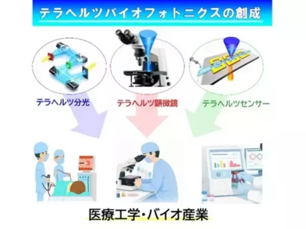 「テラヘルツバイオフォトニクスが拓く次世代バイオ計測」の画像