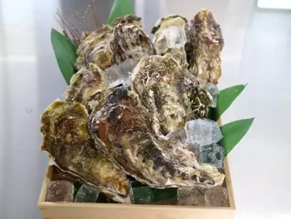 「奥松島に全室プライベートサウナ付き宿泊施設オープン」の画像