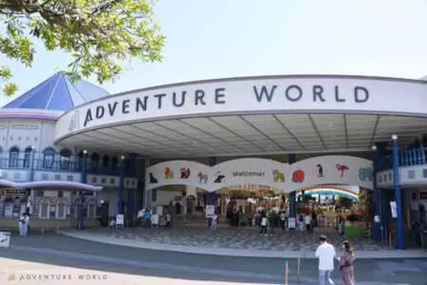 「亀の井ホテル 紀伊田辺 アドベンチャーワールドを満喫する宿泊プラン6月10日より販売開始」の画像