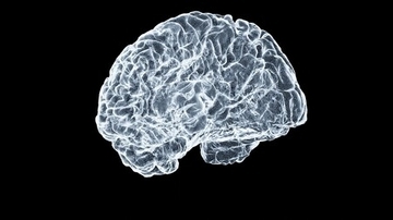 最先端材料科学研究：パーキンソン病に関連したタンパク質の凝集阻止の可能性