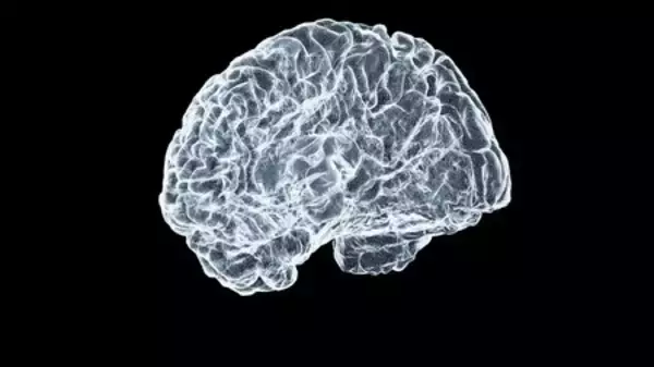 最先端材料科学研究：パーキンソン病に関連したタンパク質の凝集阻止の可能性