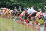 「平安時代から1000年以上の時を経ても変わらない「田染荘」で御田植祭を開催します（大分県豊後高田市）」の画像1