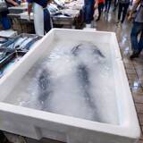 「アイススラリー生成時における「氷の詰まり」を解消【日本製紙・高知工科大学】」の画像4