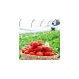 「ＪＡ全農とＪＲ西日本の地域振興支援プロジェクト 「みのりみのるマルシェ 熊本の実り｣ １月３１日に開催」の画像4