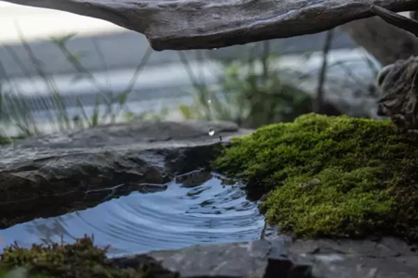 「経年美化「エイジング」の趣～時を重ねて美が深まる集合住宅～」の画像