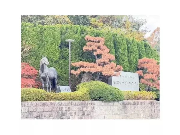 「【ニュースレター】2026年 午年は滋賀で馬三昧 滋賀は1300年前からずっと馬大国！」の画像