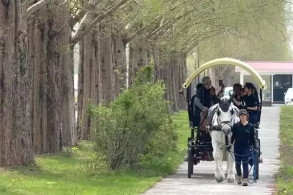 「【ニュースレター】2026年 午年は滋賀で馬三昧 滋賀は1300年前からずっと馬大国！」の画像