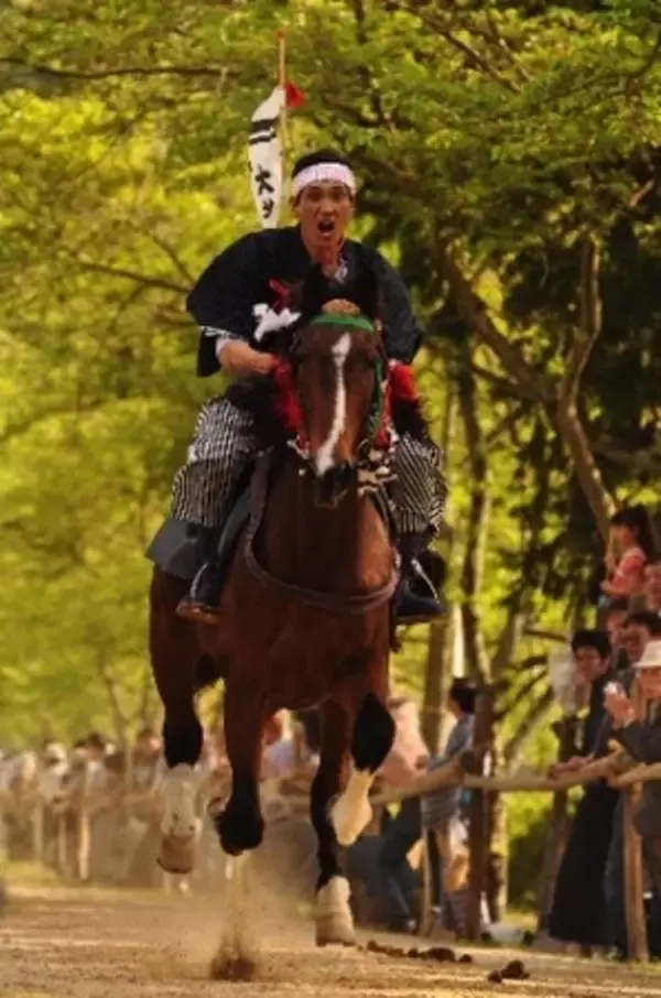 「【ニュースレター】2026年 午年は滋賀で馬三昧 滋賀は1300年前からずっと馬大国！」の画像