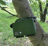 「都市ではセミが夜にも鳴く？」の画像5