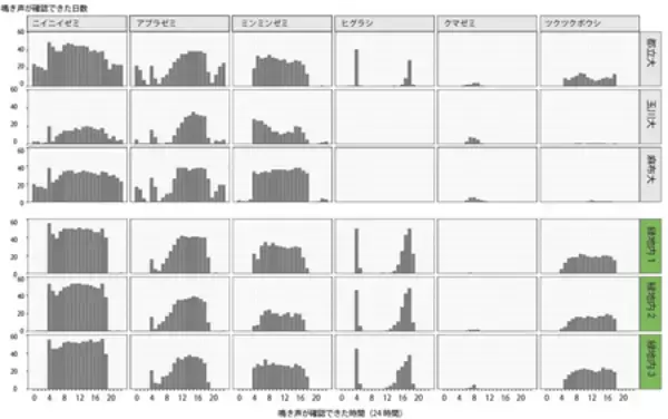 「都市ではセミが夜にも鳴く？」の画像