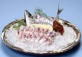 「長崎県「推し魚」プロジェクト第2弾!!　 長崎県が誇る、水揚げ量日本一の「松浦市のマアジ」に決定」の画像7