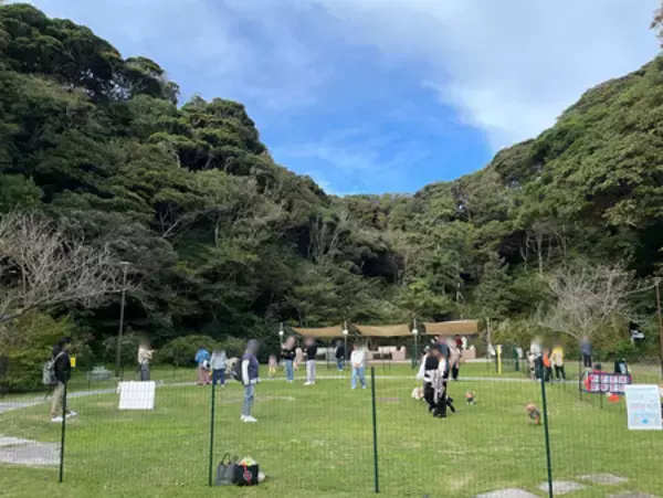 海辺で愛犬と過ごす新体験！「BEACH⇔PARK LIVING」ドッグエリアオープン