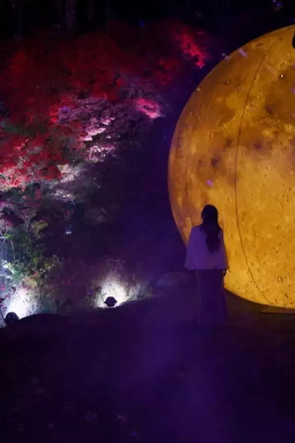 「糸島の春を彩る新たな夜の観光コンテンツ」の画像