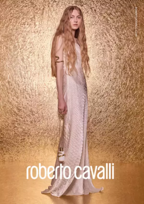 「マーキー・ブランズ、ロベルト・カヴァリ（Roberto Cavalli）の過半数持分取得に向けDAMAC Group（ダマック・グループ）と戦略的提携を締結」の画像