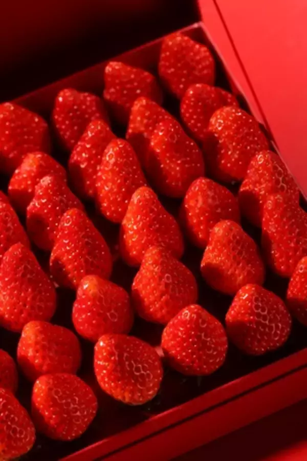 「ホテルマイステイズプレミア成田 甘酸っぱい春を味わう「いちごフェア」 3/1～4/28開催」の画像