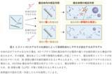「遺伝子制御に関わる液滴形成のメカニズムに新知見」の画像5
