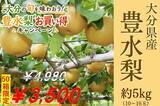 「大分県産 豊水梨を50箱限定価格で販売 果汁たっぷりの秋の味覚をJAタウン｢まるっと完食おおいた｣からお届け」の画像1