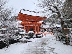 【京都】朱塗りの神門に似合う雪景色は洛北の絶景！京都屈指のパワースポットの神社2選行ってみた！