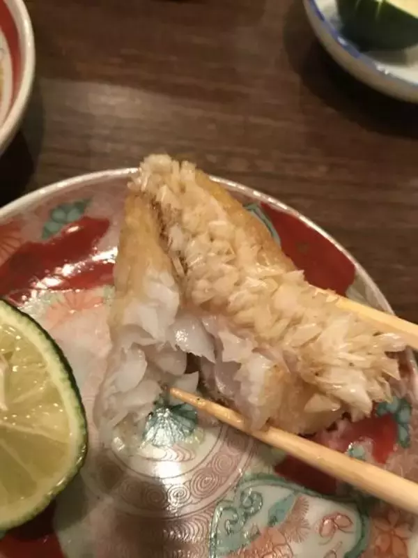 「【京都酒場めぐり】先斗町の人気店がリノベ京町家に移転オープン！設え＆料理さらに充実「酒処てらやま」」の画像