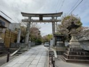 【京都青もみじ】東京明治神宮のモデルとなった神社建築！限定御朱印もある名所「向日神社」