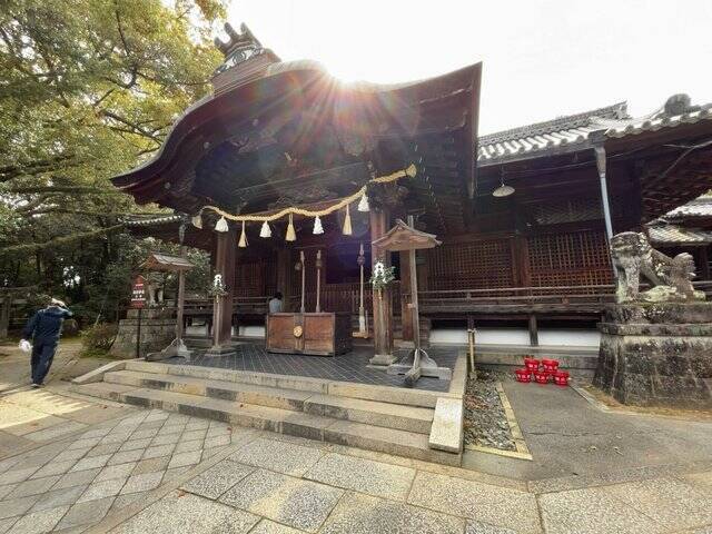 【京都青もみじ】東京明治神宮のモデルとなった神社建築！限定御朱印もある名所「向日神社」