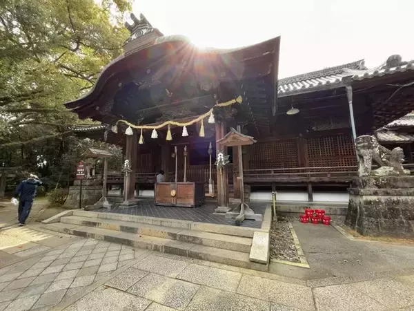 「【京都青もみじ】東京明治神宮のモデルとなった神社建築！限定御朱印もある名所「向日神社」」の画像