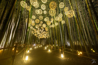 【京都嵐山】4年ぶりに復活！幻想的な竹林ライトアップ「嵐山月灯路」