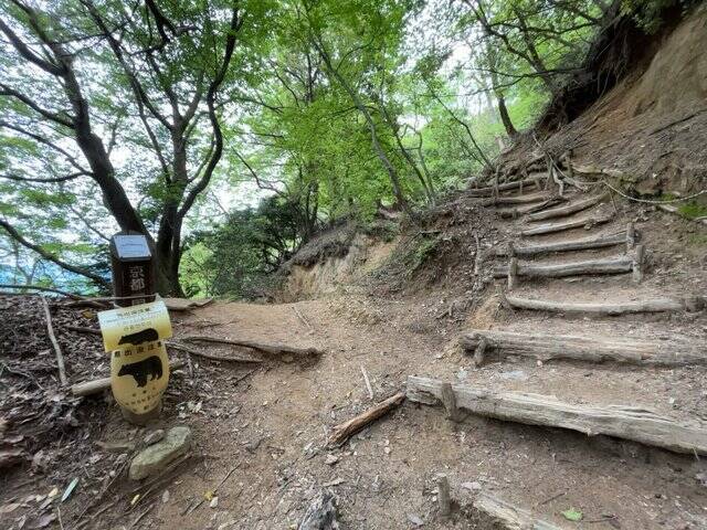 【京都一周トレイル④】東山～北山コース突入で琵琶湖眺望！日本屈指の修行の場☆比叡山延暦寺