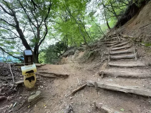「【京都一周トレイル④】東山～北山コース突入で琵琶湖眺望！日本屈指の修行の場☆比叡山延暦寺」の画像