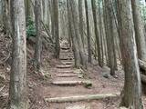 「【京都一周トレイル④】東山～北山コース突入で琵琶湖眺望！日本屈指の修行の場☆比叡山延暦寺」の画像14
