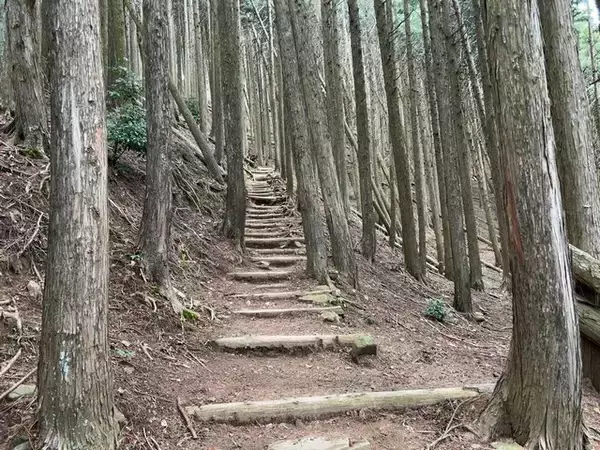 「【京都一周トレイル④】東山～北山コース突入で琵琶湖眺望！日本屈指の修行の場☆比叡山延暦寺」の画像
