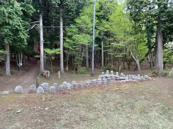 「【京都一周トレイル④】東山～北山コース突入で琵琶湖眺望！日本屈指の修行の場☆比叡山延暦寺」の画像