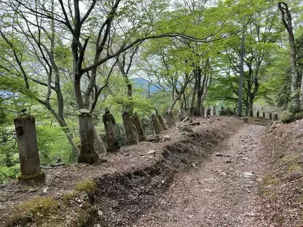 「【京都一周トレイル④】東山～北山コース突入で琵琶湖眺望！日本屈指の修行の場☆比叡山延暦寺」の画像