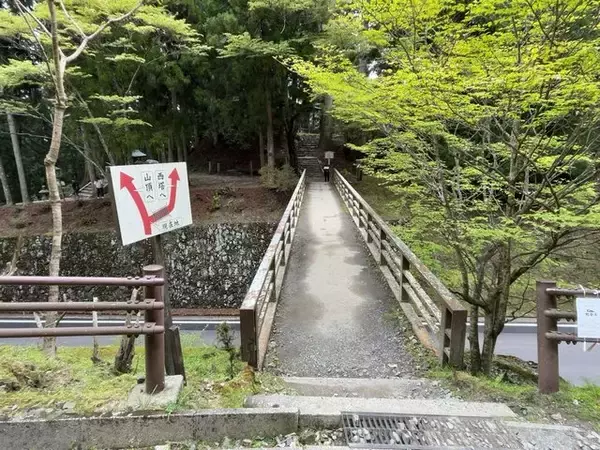 「【京都一周トレイル④】東山～北山コース突入で琵琶湖眺望！日本屈指の修行の場☆比叡山延暦寺」の画像