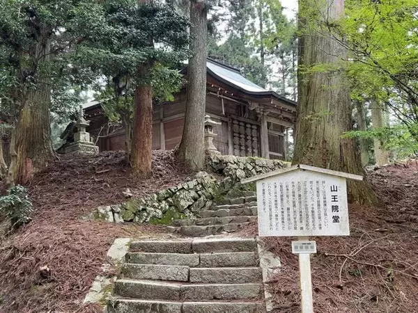 「【京都一周トレイル④】東山～北山コース突入で琵琶湖眺望！日本屈指の修行の場☆比叡山延暦寺」の画像