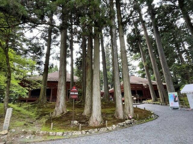 【京都一周トレイル④】東山～北山コース突入で琵琶湖眺望！日本屈指の修行の場☆比叡山延暦寺
