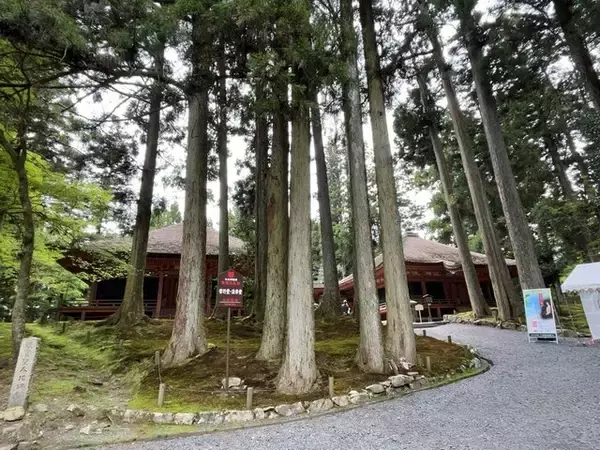 「【京都一周トレイル④】東山～北山コース突入で琵琶湖眺望！日本屈指の修行の場☆比叡山延暦寺」の画像