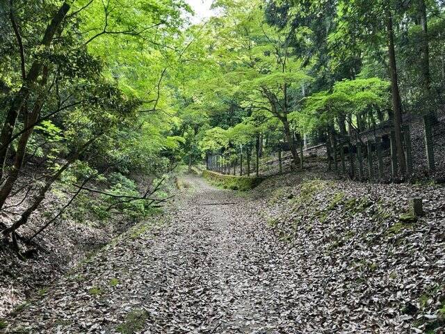 【京都一周トレイル④】東山～北山コース突入で琵琶湖眺望！日本屈指の修行の場☆比叡山延暦寺