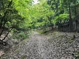 「【京都一周トレイル④】東山～北山コース突入で琵琶湖眺望！日本屈指の修行の場☆比叡山延暦寺」の画像4