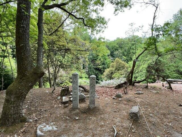 【京都一周トレイル④】東山～北山コース突入で琵琶湖眺望！日本屈指の修行の場☆比叡山延暦寺