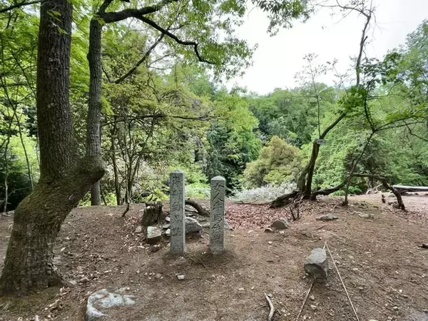 「【京都一周トレイル④】東山～北山コース突入で琵琶湖眺望！日本屈指の修行の場☆比叡山延暦寺」の画像