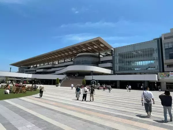 「【京都競馬場グルメ】京都限定販売！騎手・武豊監修の激推しスパイスチキンカレー☆」の画像