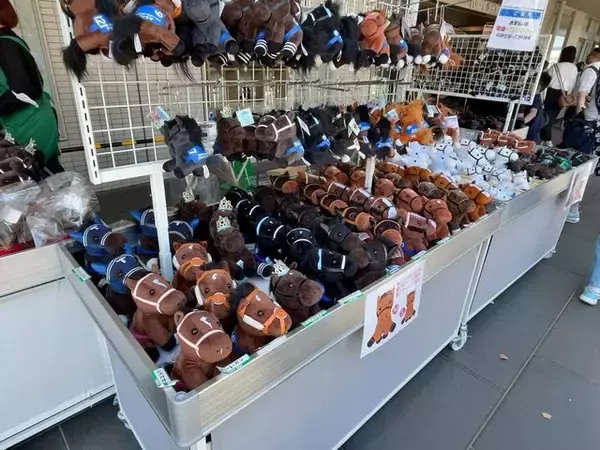 「【京都競馬場グルメ】京都限定販売！騎手・武豊監修の激推しスパイスチキンカレー☆」の画像