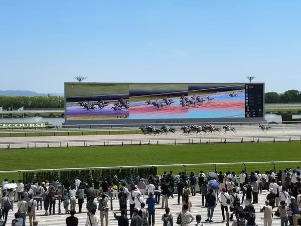 「【京都競馬場グルメ】京都限定販売！騎手・武豊監修の激推しスパイスチキンカレー☆」の画像