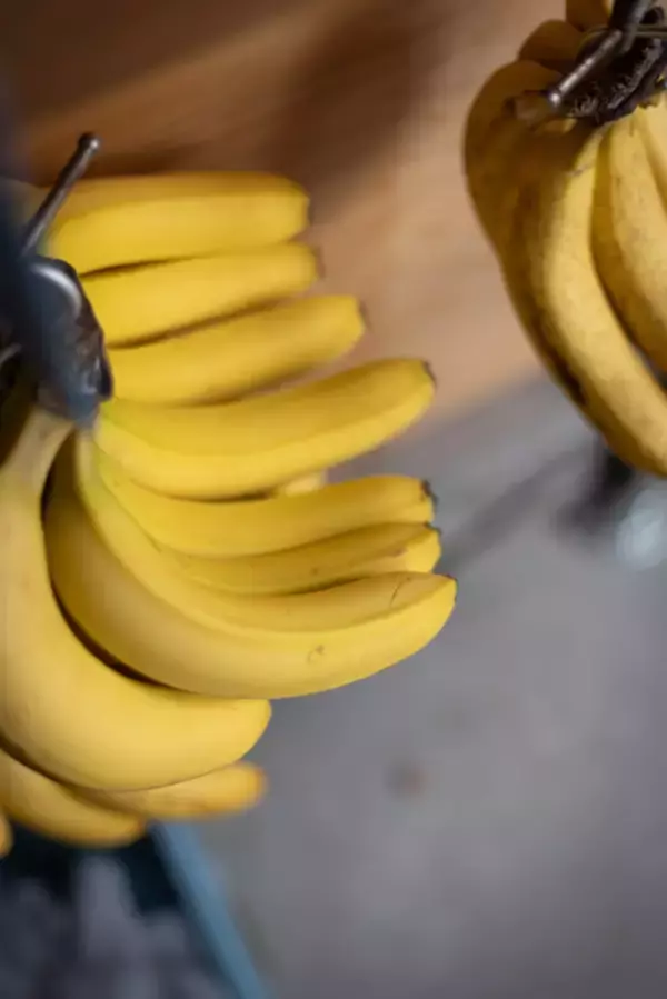 「【京都・北大路エリア】おすすめコーヒー＆カフェ巡り「ゆんたびグルメツアーズ」」の画像