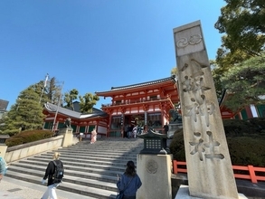 【京都桜最新2026】祇園界隈の名所パトロール！八坂神社円山公園～祇園白川～安井金比羅宮